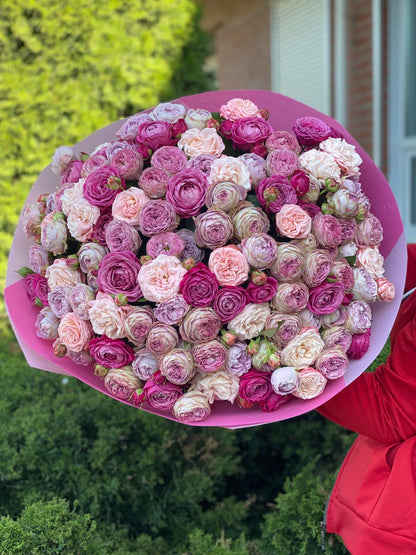 101 Peony Roses Variety Majestic, Bombastic and Lavender
