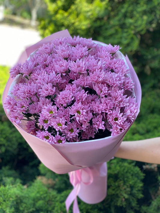 15 daisy-like chrysanthemums (color Purple)