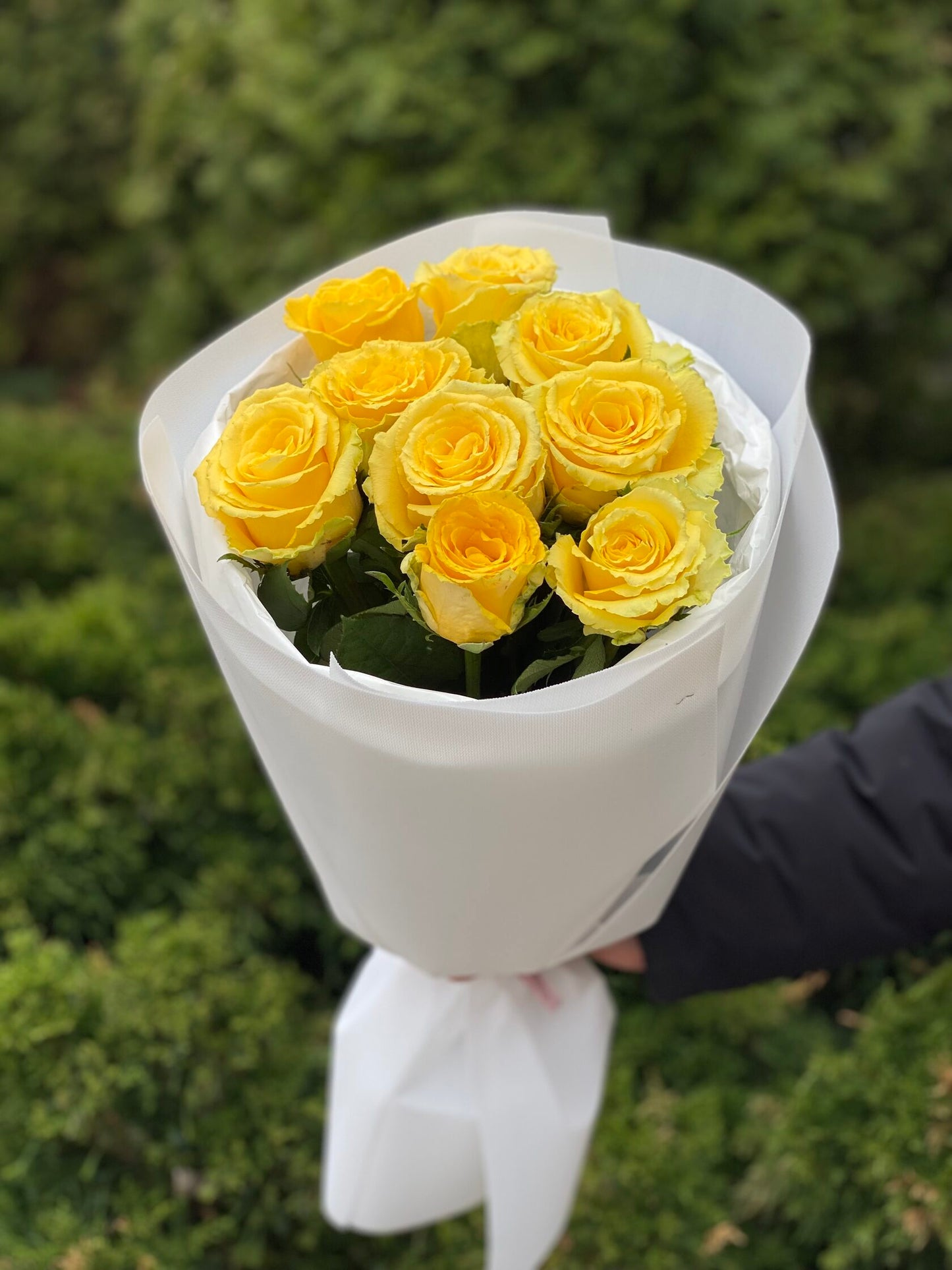 9 roses (color Yellow) 50 cm
