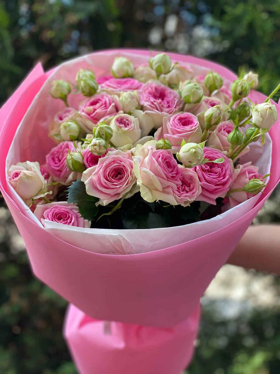 19 spray peony-shaped roses Gelato