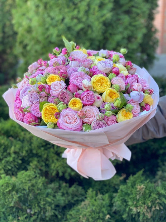 101 Peony Roses (Variety Lady Bombastic, Lavender, Peony)
