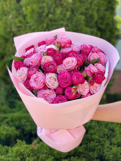 39 Peony Roses Varieties Lavender Lace and Majestic

