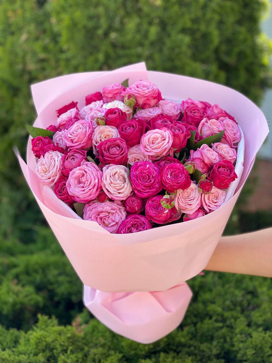 39 Peony Roses Varieties Lavender Lace and Majestic
