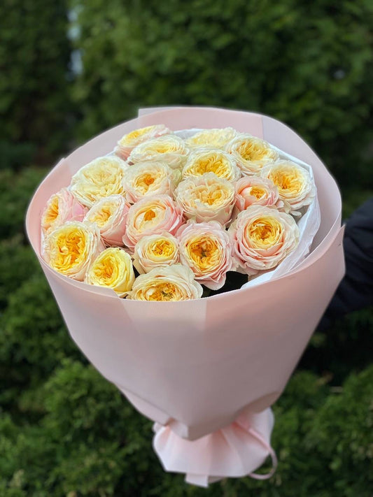 19 Roses Variety Cream Fragrance Peony Roses