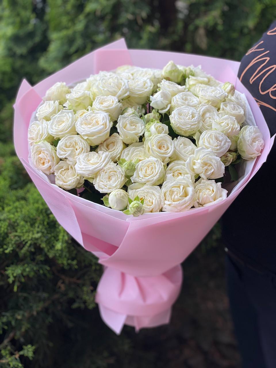 39 Spray Peony Roses Variety Miss Bombastic
