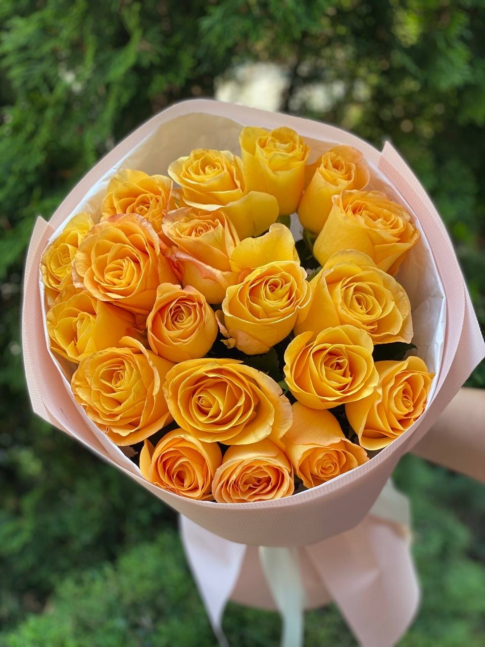 19 roses variety Penny Lane