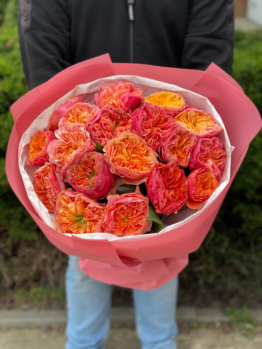 19 Roses Variety Kensington Garden Orange Peony Roses