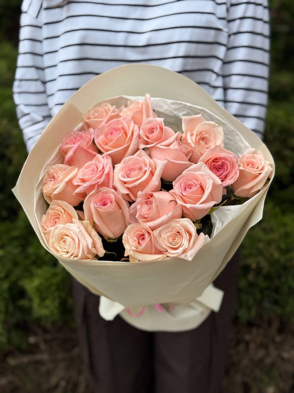 19 Roses Variety Kimberly