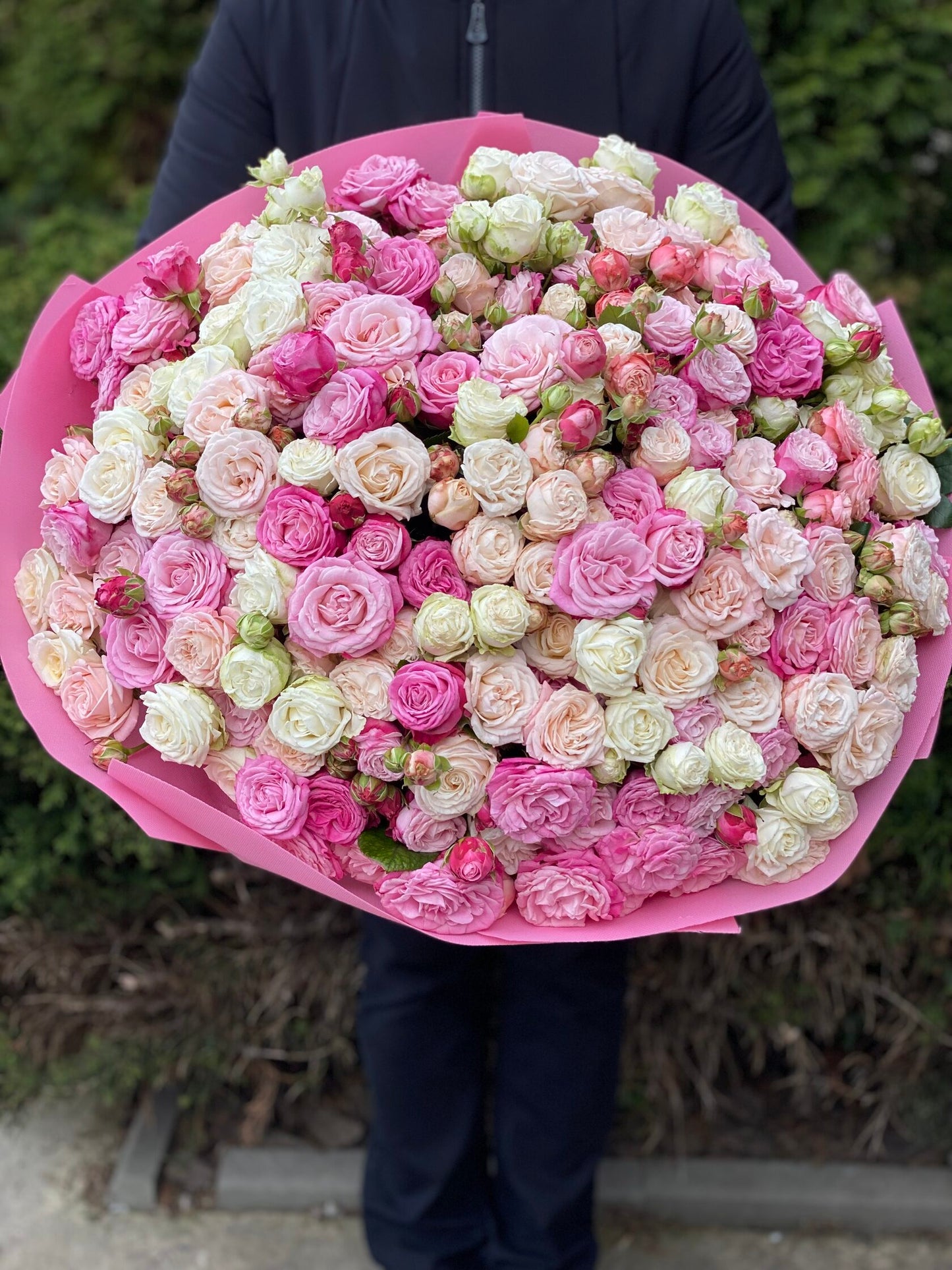 101 Spray Roses (Varieties Tanja, Lavender, Lavender Lace)