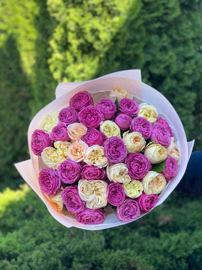 39 Peony Roses (Cream Fragrance and Lavender Lace)
