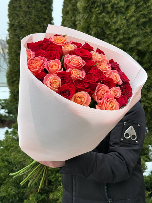 39 Roses Varieties Miss Piggy and Red Eagle