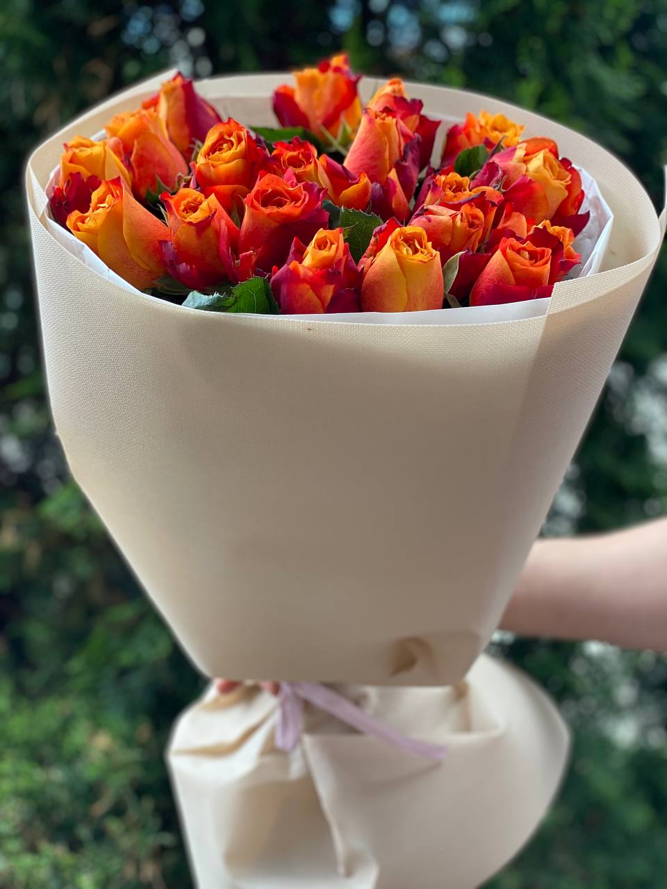 19 Roses Variety Holland Orange