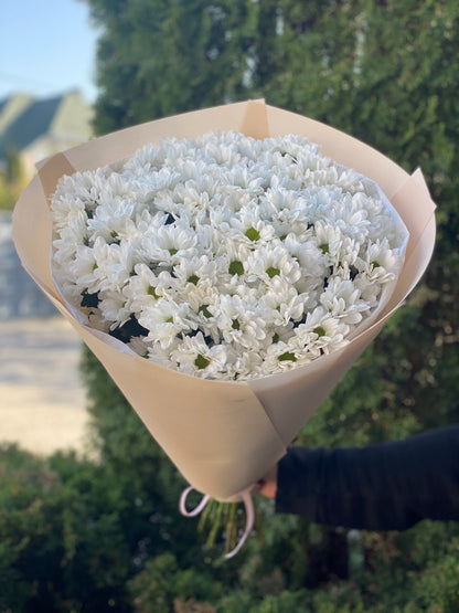 15 daisy-like chrysanthemums (color White)