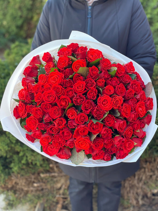 101 Roses Variety El Toro