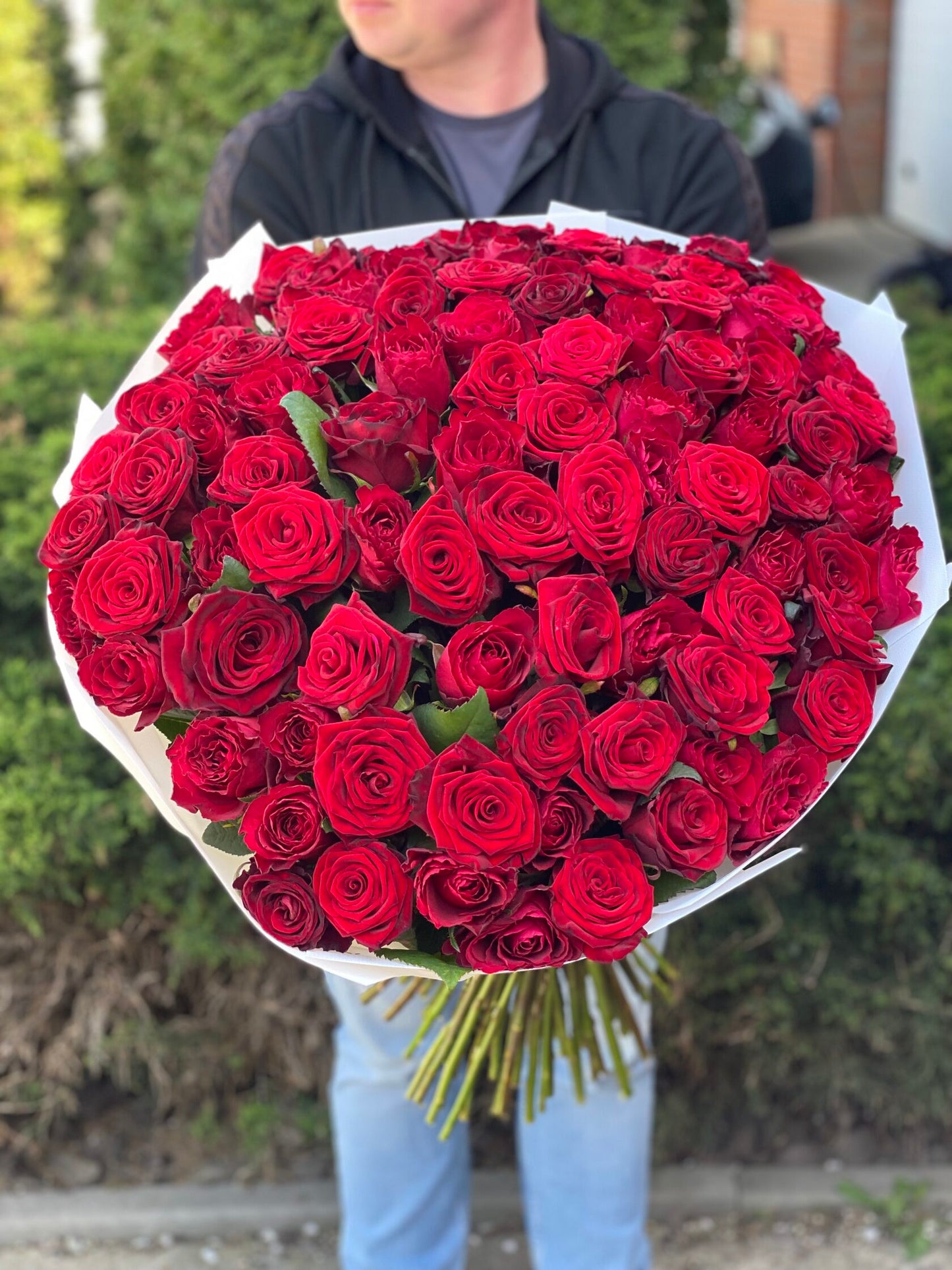 101 Roses Variety Grand Prix