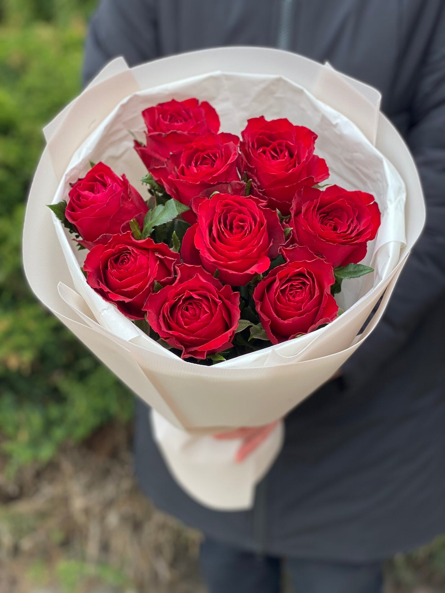 9 roses (variety Red) 50 cm