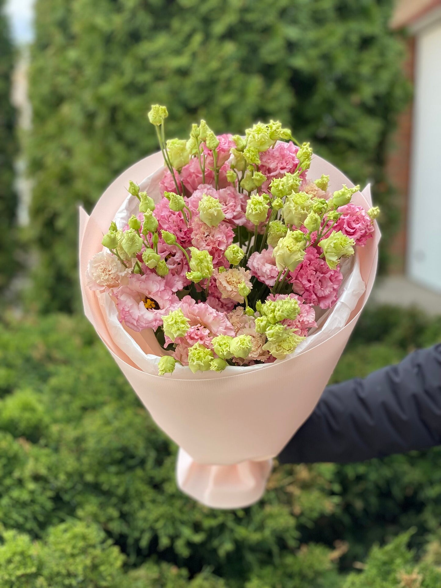 Pink eustoma 9 stems (70 cm)