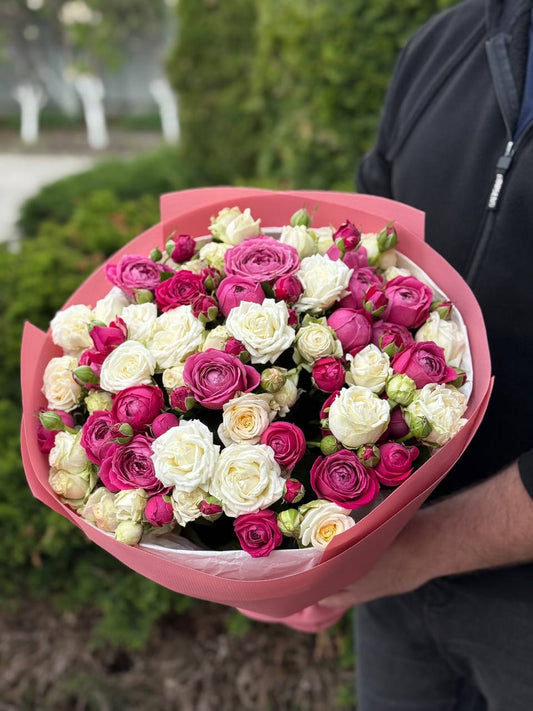 39 Roses Varieties Prince Bombastic and Majestic