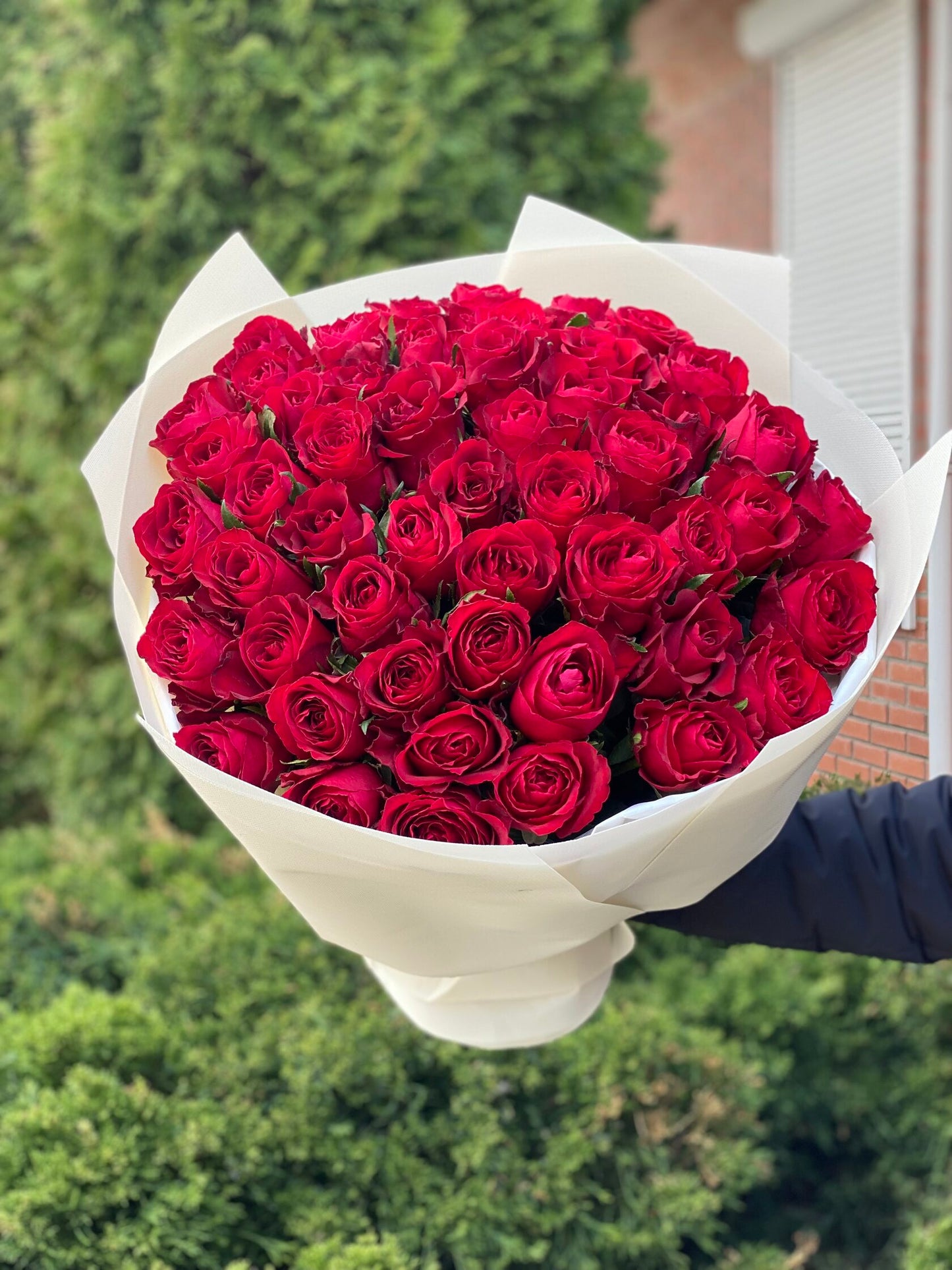 51 roses of the Grand Prix variety