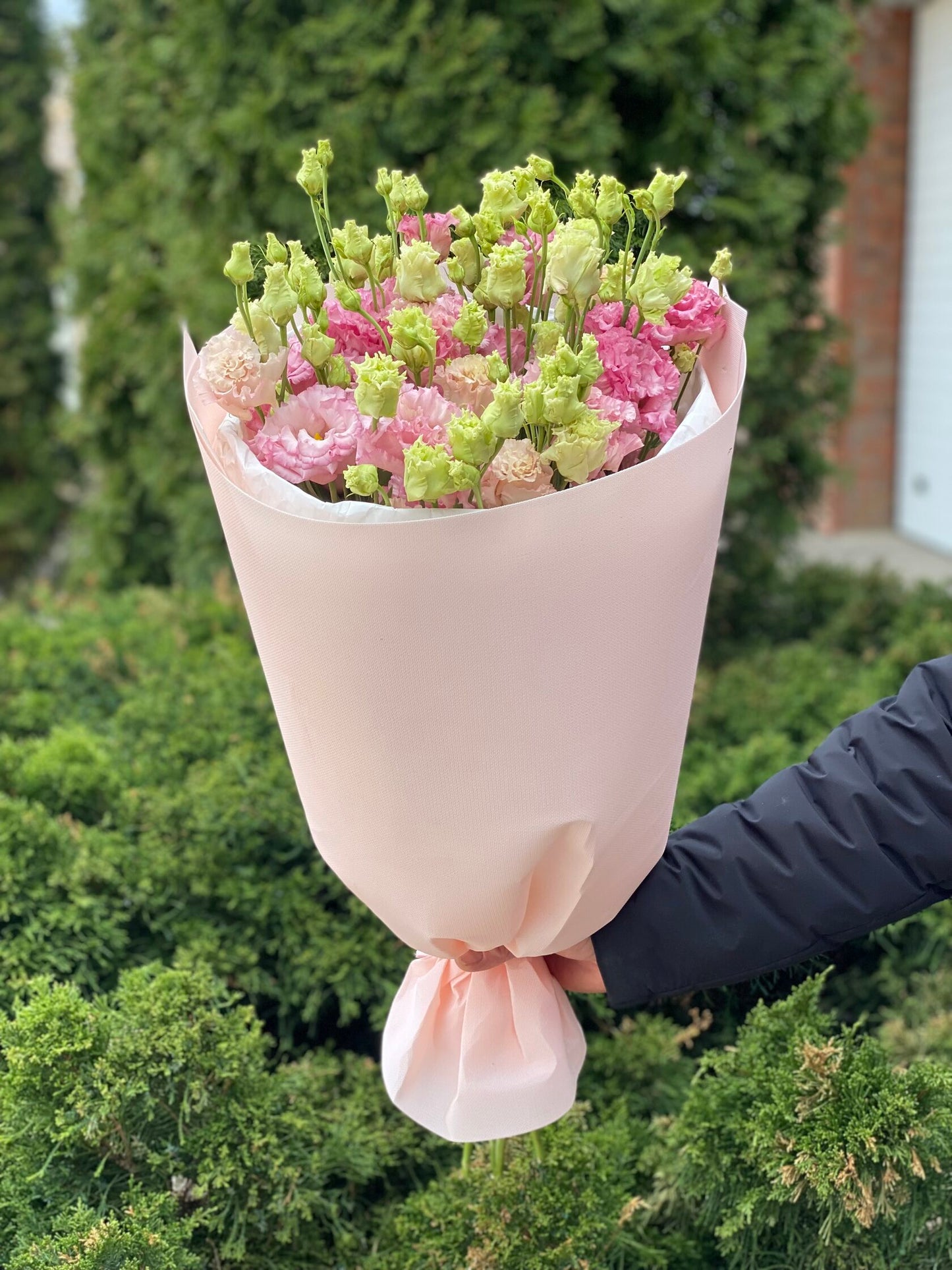 Pink eustoma 9 stems (70 cm)