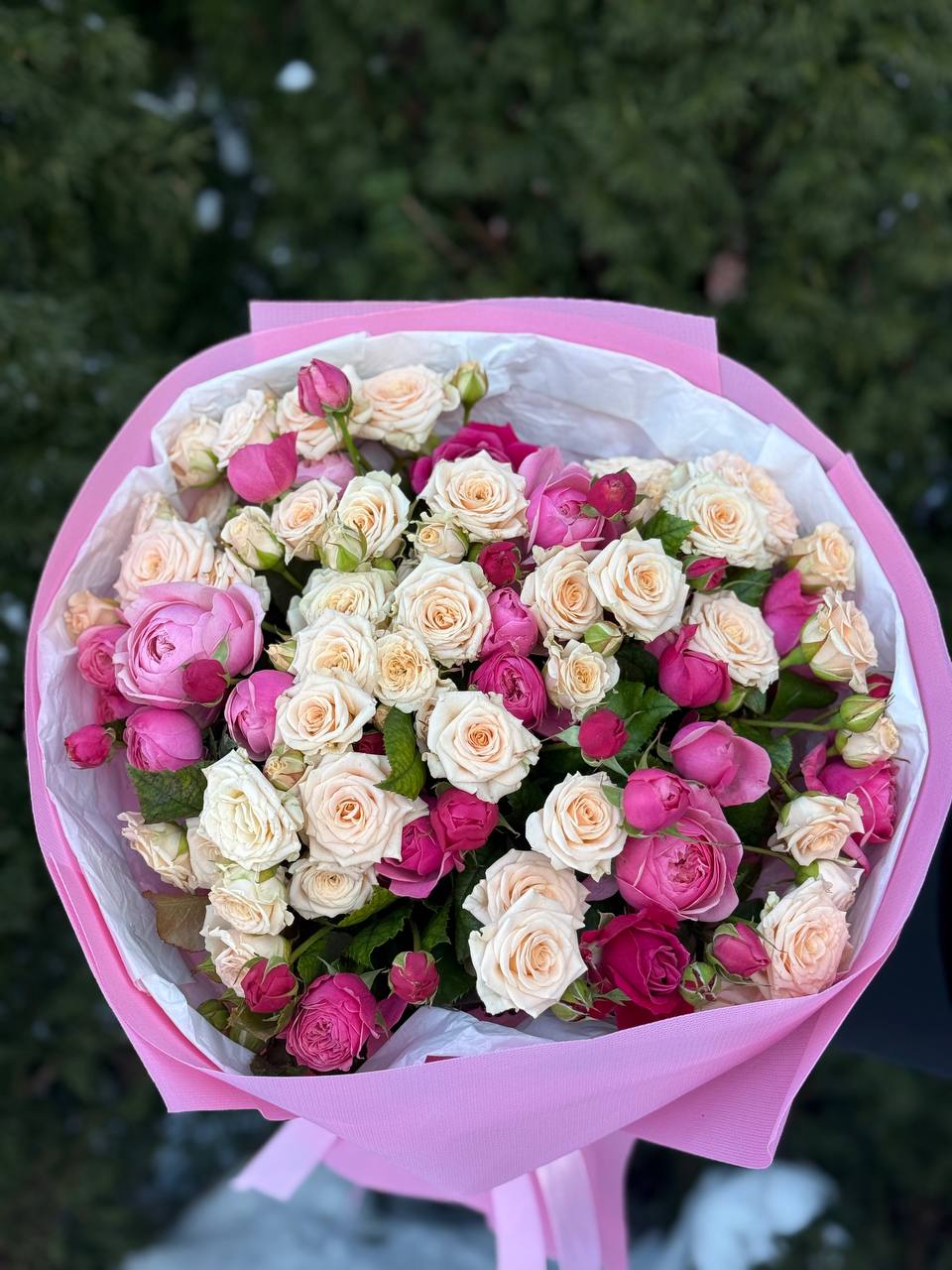 39 Roses Varieties Light and Tanja