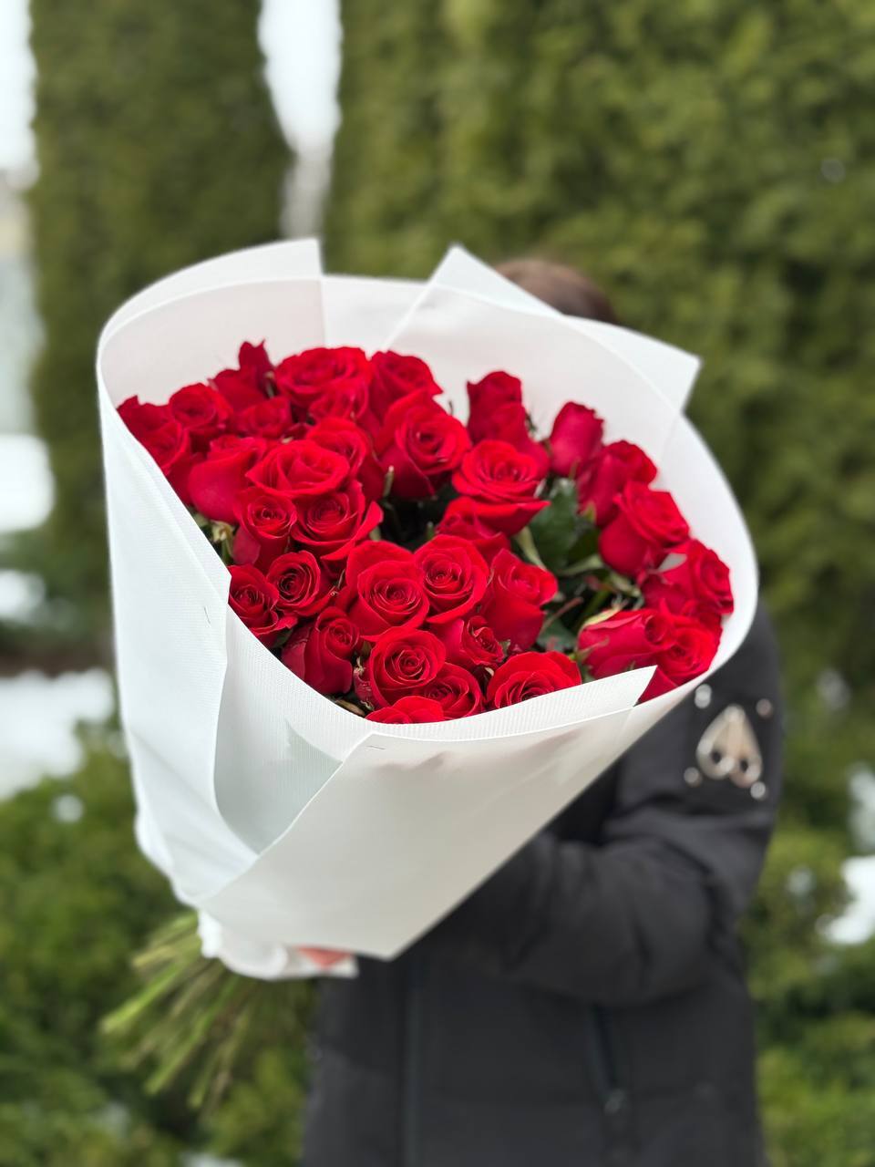 39 Roses Variety Red Eagle