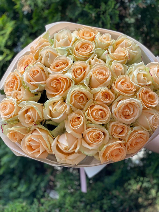 51 roses of the Peach Avalanche variety