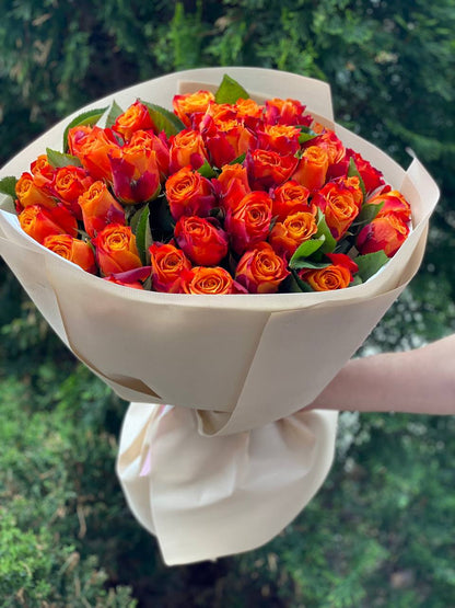 39 Roses Variety Holland Orange
