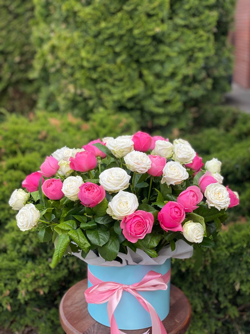 Hat Box size XL 51 Roses (Variety Miss Bombastic and Line)
