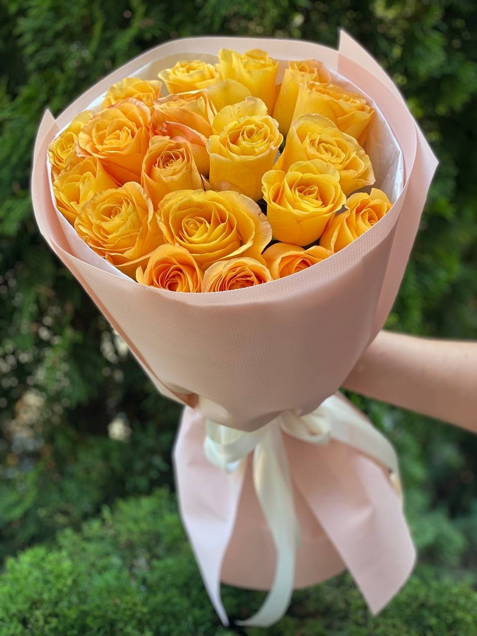 19 roses variety Penny Lane