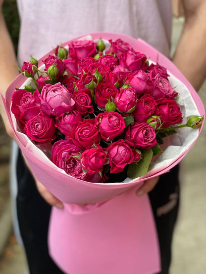 19 branchy peony roses, Majestic variety