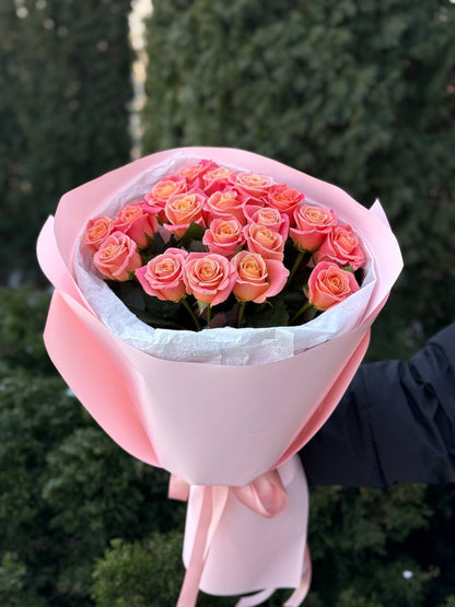 19 roses variety Miss Piggy