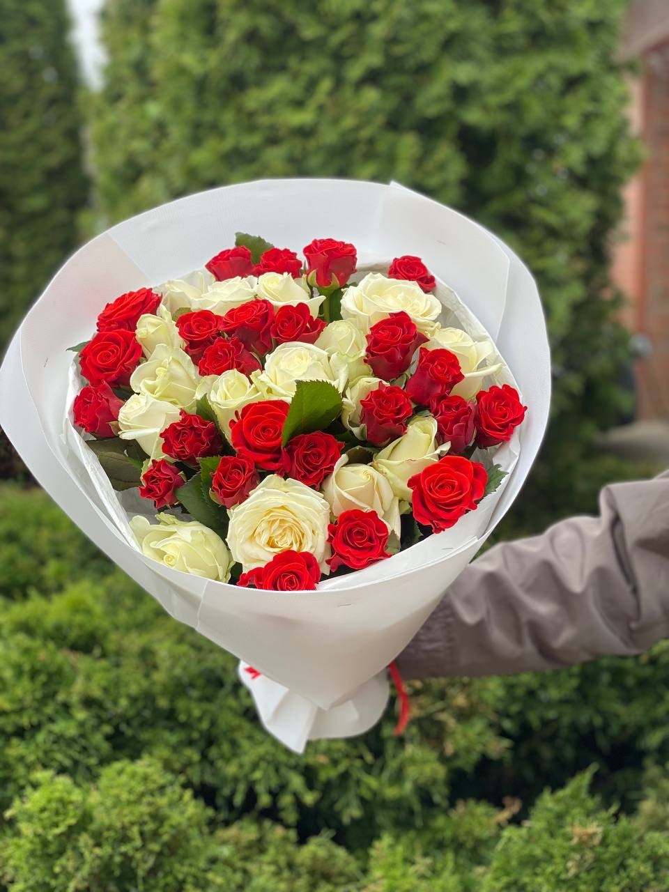 39 Roses Varieties El Toro and Avalanche