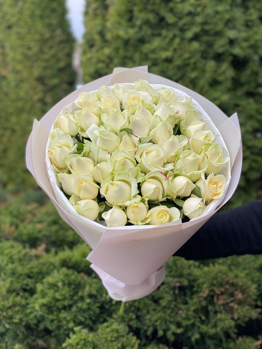 39 Roses Variety Avalanche