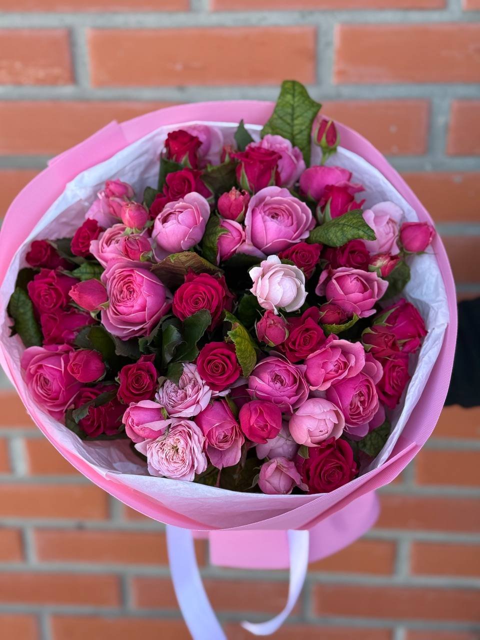 39 Roses Varieties Light and Majestic