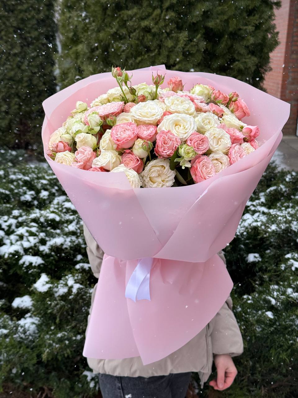 39 Roses Varieties Prince Bombastic and Bombastic