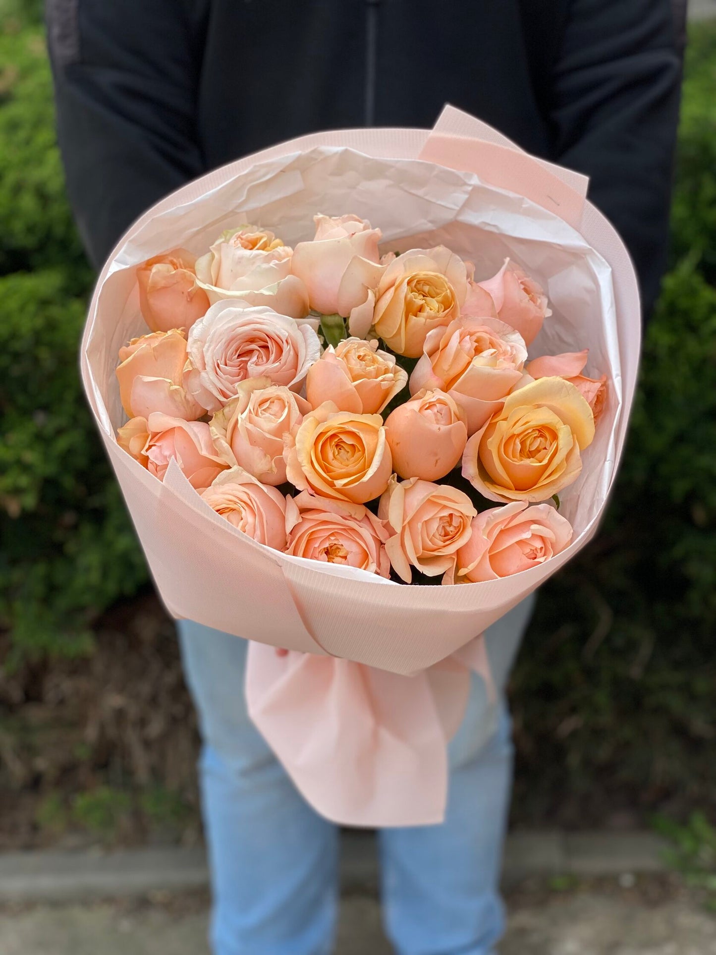 19 Roses Variety Ember Sun Powdery Peony Roses