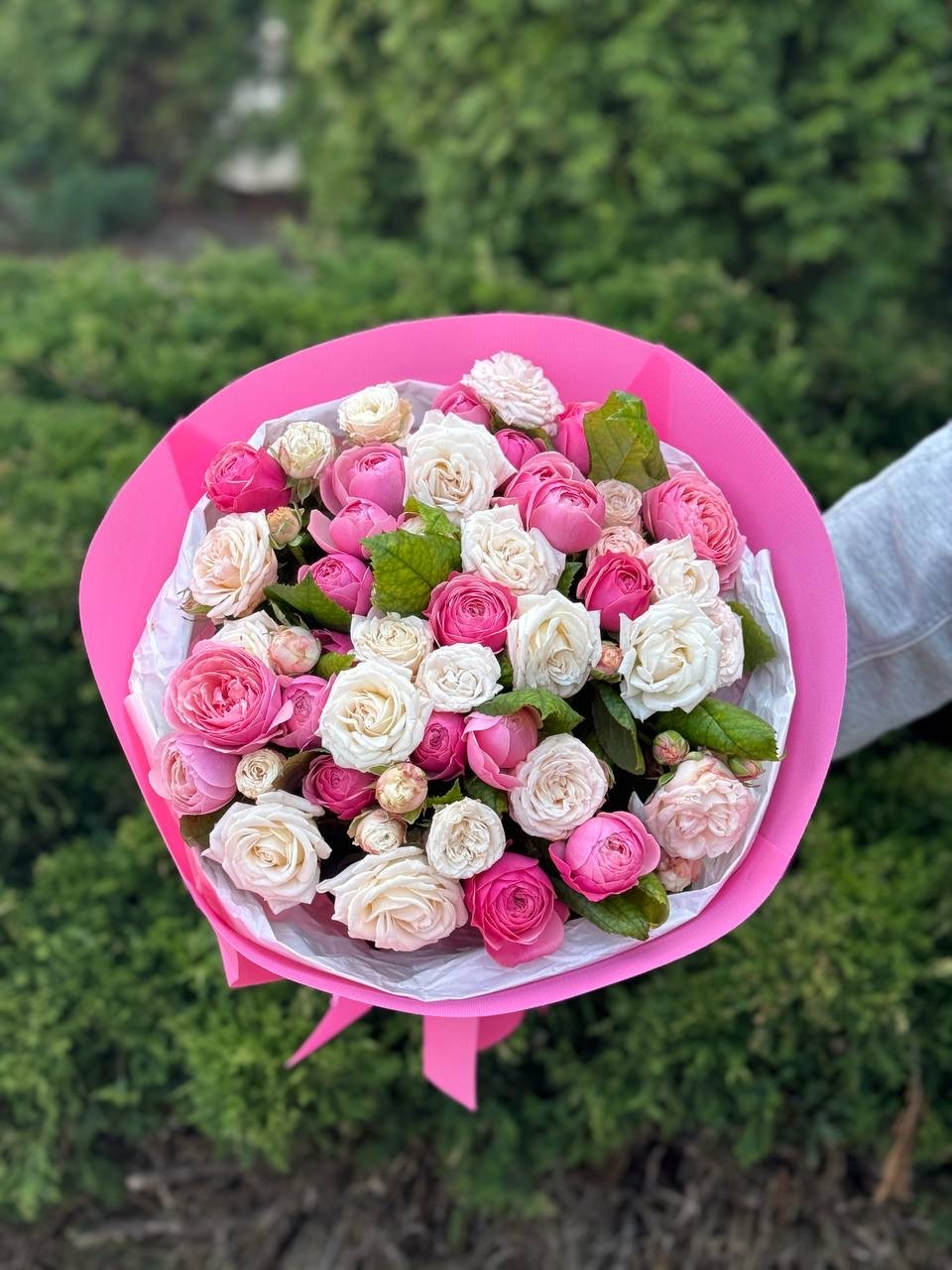 39 Roses Varieties Light and Bombastic