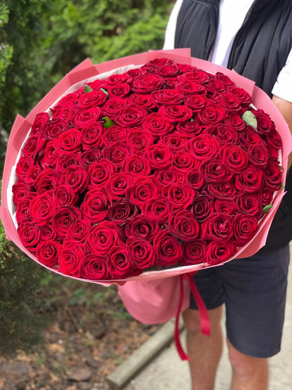 101 Roses of Red Eagle Variety