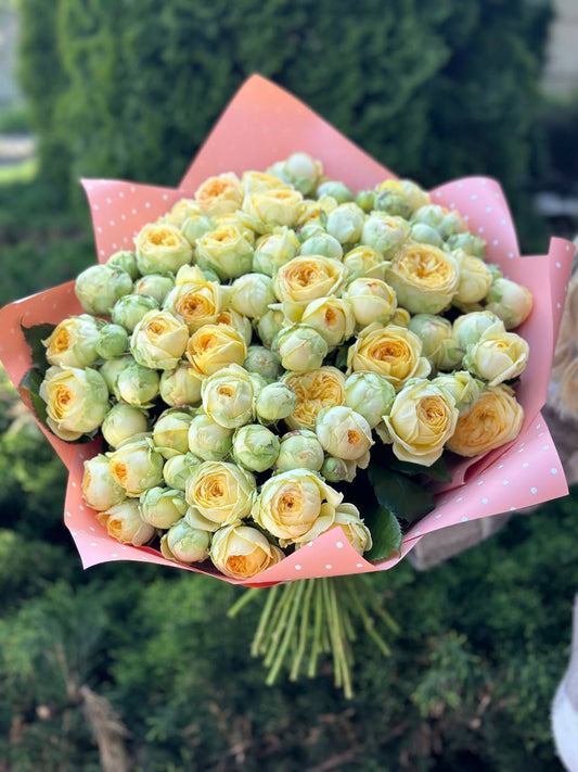 39 peony-like branch roses, variety Peony