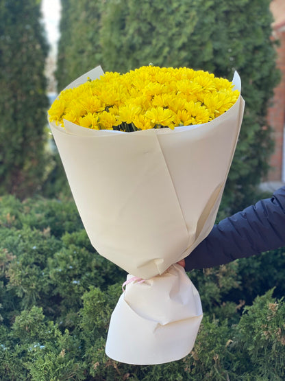 9 chrysanthemums (color Yellow, daisy-like)