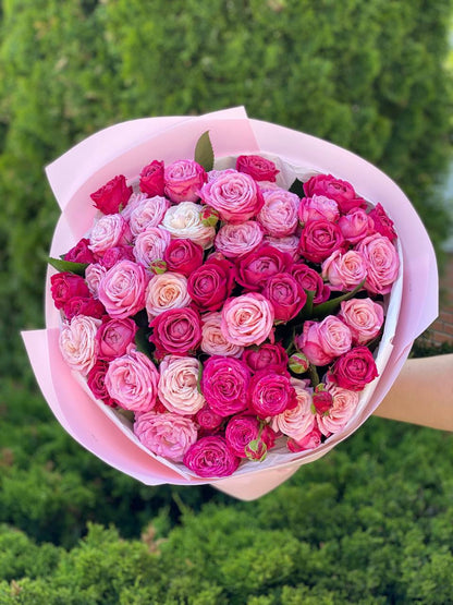 39 Peony Roses Varieties Lavender Lace and Majestic
