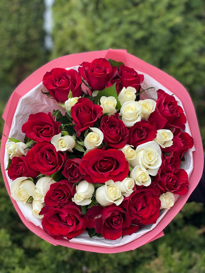 39 Roses Varieties Beluga and Red Eagle