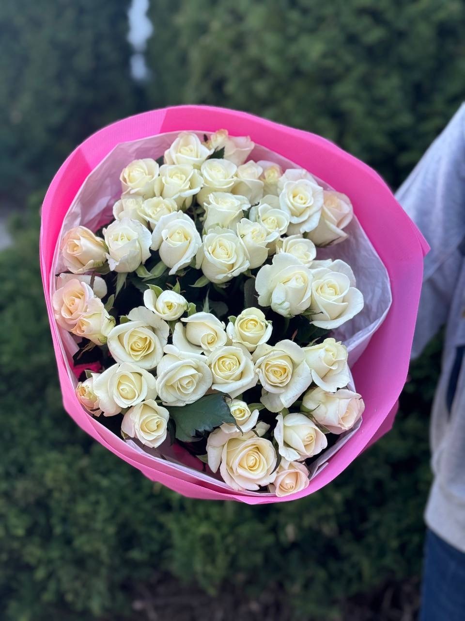 39 Roses Variety Beluga