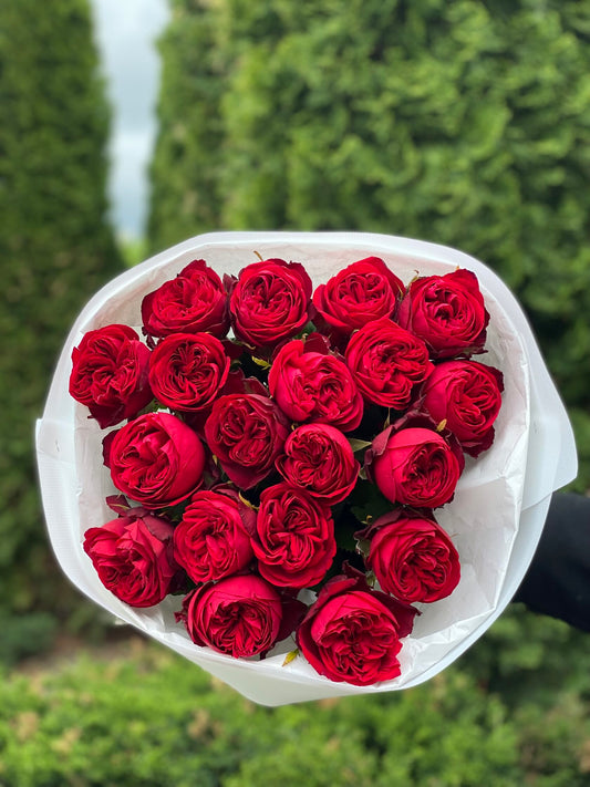 19 Roses Variety Red Peony Roses (Country Spirit)