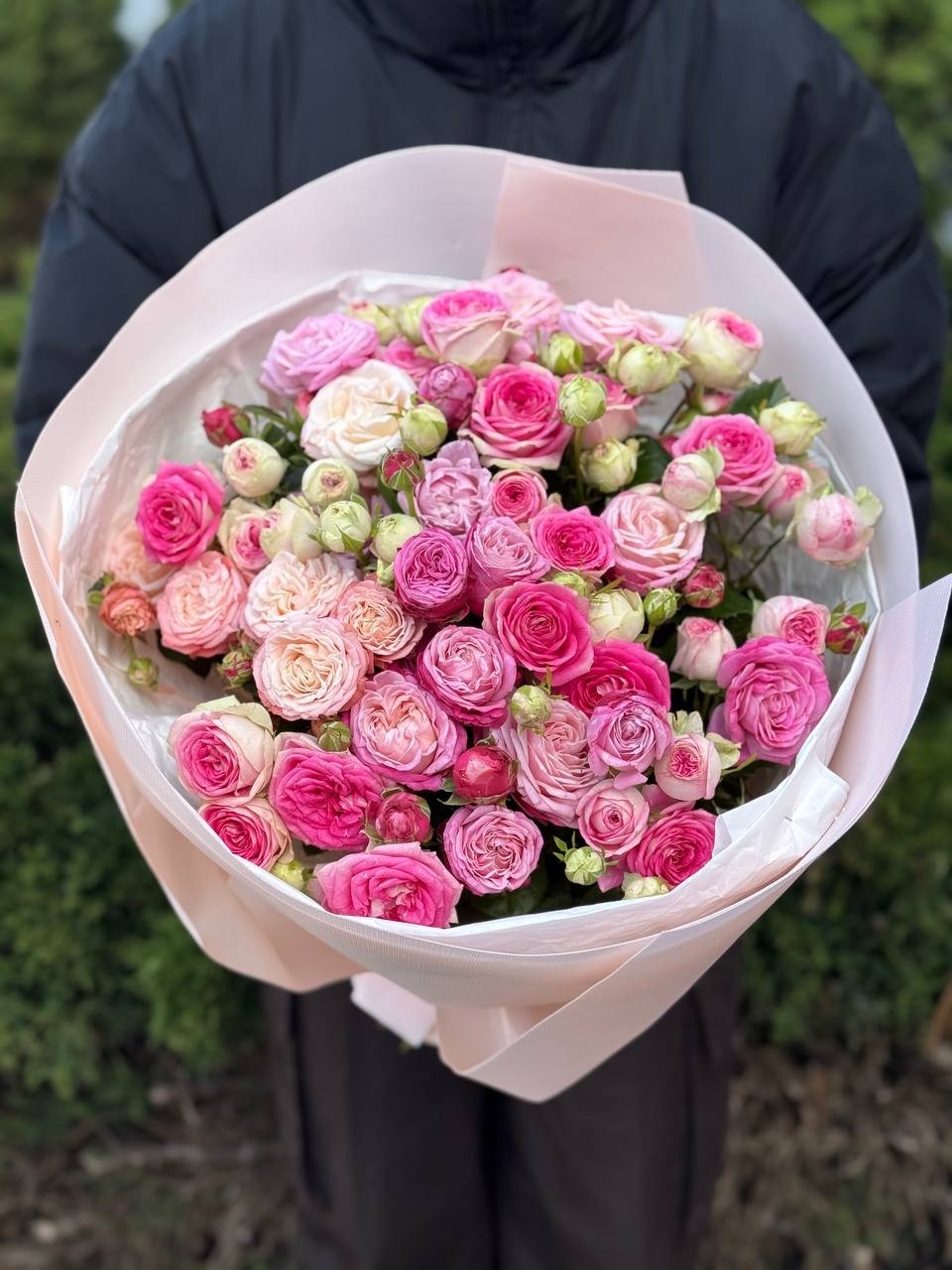 39 Roses Varieties Gelato and Lady Bombastic