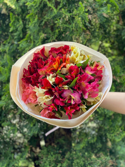 Bouquet of 19 stems Alstroemerias