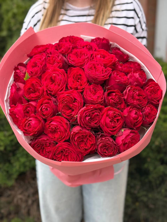 39 Peony Roses Red Variety Country Spirit
