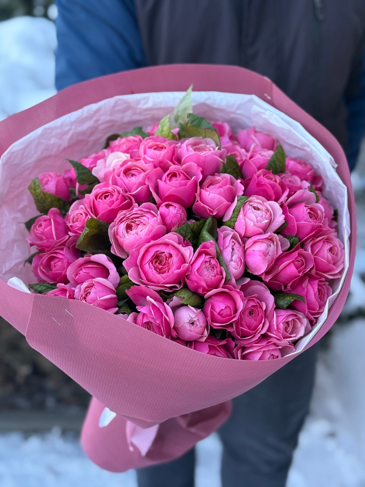 51 peony-shaped roses of the Light variety