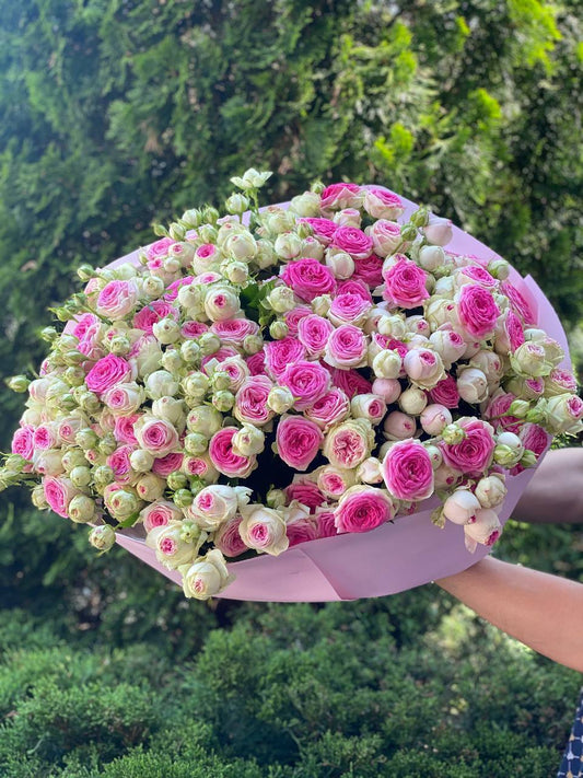 101 Peony-Shaped Roses of the Gelato Variety